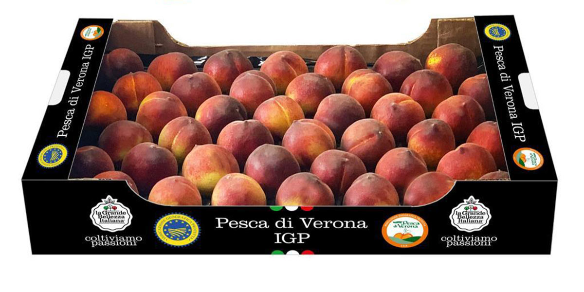 Pesca di Verona Igp, il frutto antico che rinasce per mano dei giovani